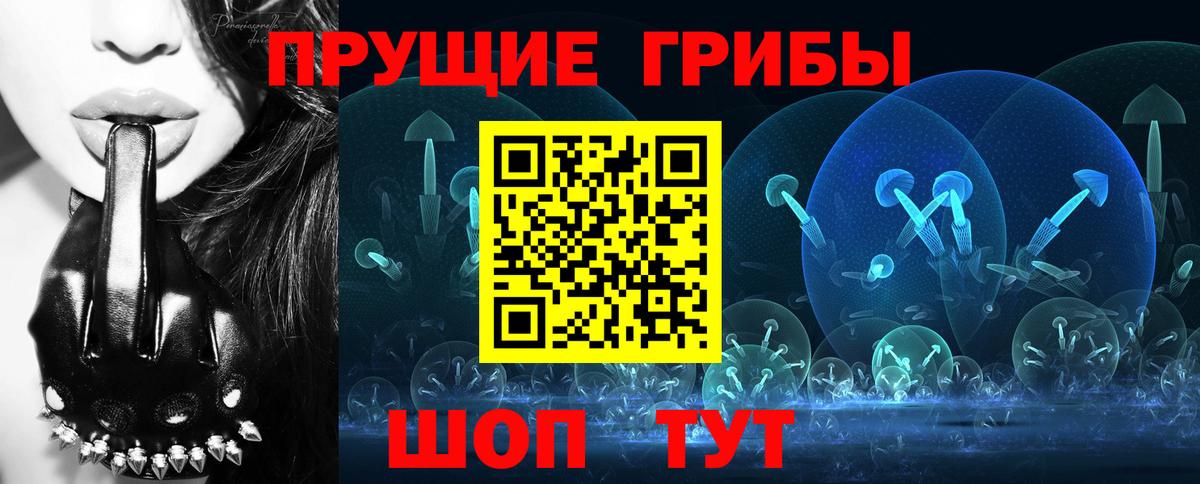 Галлюциногенные грибы прущие грибы  Вход с VPN  Вятские Поляны 