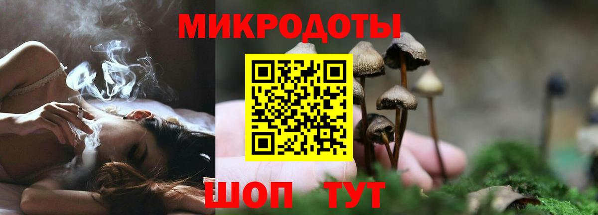 Галлюциногенные грибы мухоморы Вятские Поляны